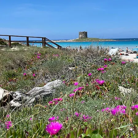 Al Mare Golfo Asinara Sardegna * Marina di Sorso