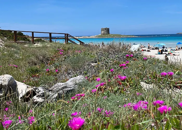 Al Mare Golfo Asinara Sardegna * Marina di Sorso